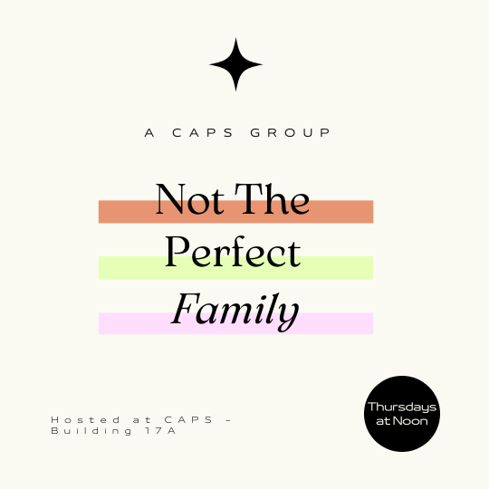 Not the Perfect Family Flier